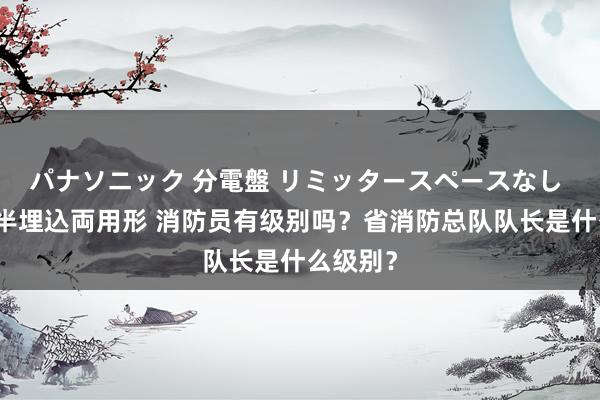 パナソニック 分電盤 リミッタースペースなし 露出・半埋込両用形 消防员有级别吗？省消防总队队长是什么级别？