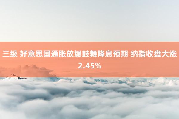 三级 好意思国通胀放缓鼓舞降息预期 纳指收盘大涨2.45%