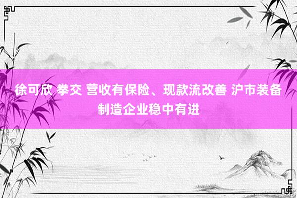 徐可欣 拳交 营收有保险、现款流改善 沪市装备制造企业稳中有进