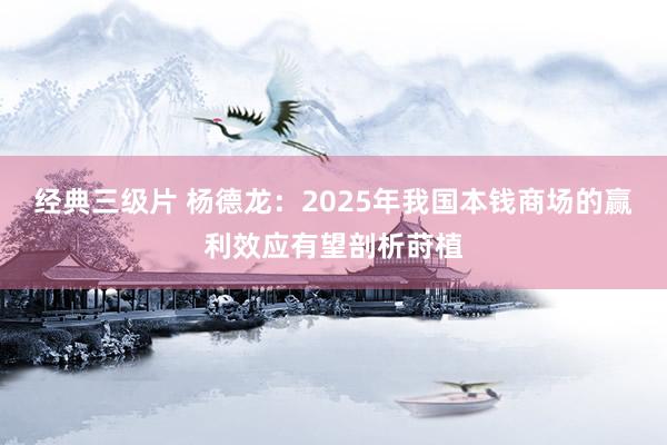 经典三级片 杨德龙：2025年我国本钱商场的赢利效应有望剖析